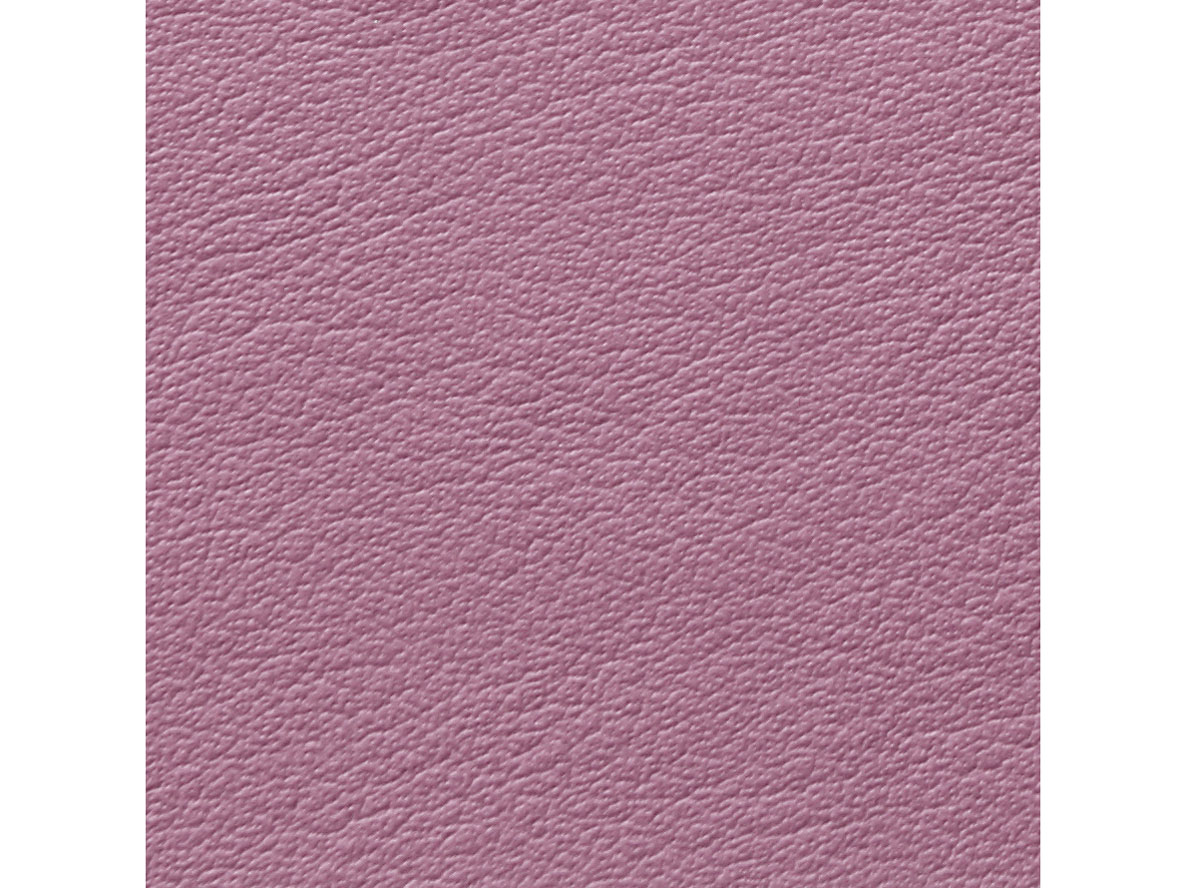 SNC-HP2 [�s���N�n]