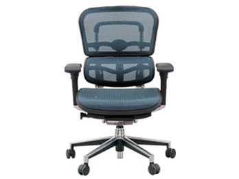 エルゴヒューマン Ergohuman Basic EH-LAM KM16 [ホワイト] 価格