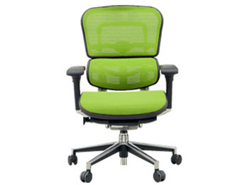 Ergohuman Basic EH-LAM KMD34 [�O���[��] �̐��i�摜