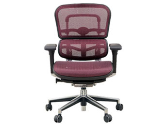 エルゴヒューマン エルゴヒューマンエンジョイ2 ロータイプ EJ2-LAM-GF オフィス