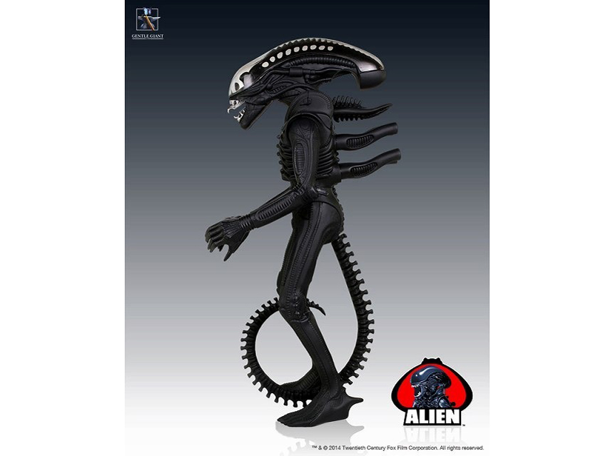 ���g���E�P�i�[ 24�C���`�A�N�V�����t�B�M���A �G�C���A��