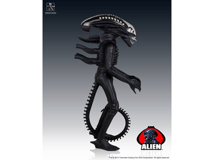 ���g���E�P�i�[ 24�C���`�A�N�V�����t�B�M���A �G�C���A��