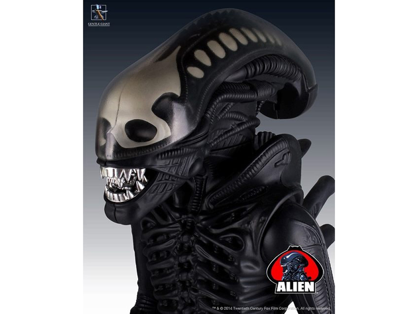 ���g���E�P�i�[ 24�C���`�A�N�V�����t�B�M���A �G�C���A��