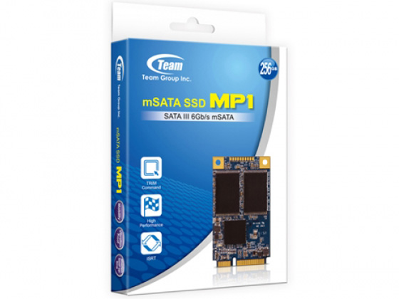 MP1 TM38P1256GMC101