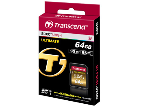 TS64GSDU3X [64GB]