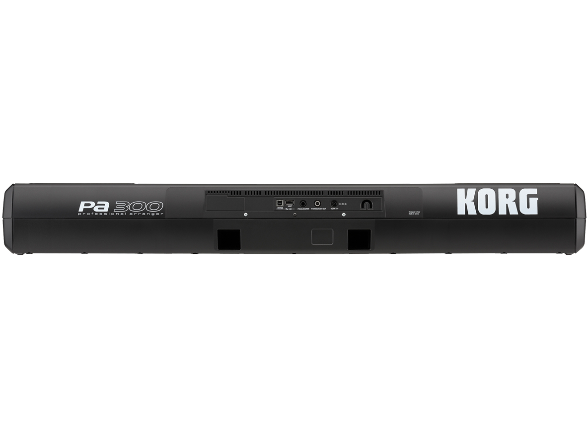 Pa300 Professional Arranger