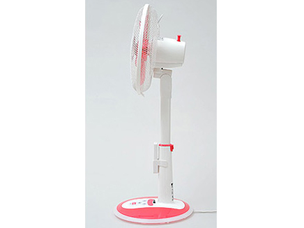 YLR-D304(CP) [�N���A�s���N]