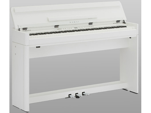 DIGITAL PIANO LS1W [�v���~�A���z���C�g�T�e����]
