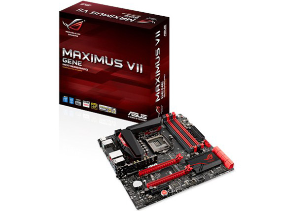 MAXIMUS VII GENE