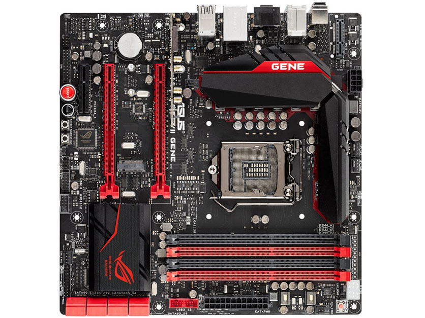 MAXIMUS VII GENE �̐��i�摜