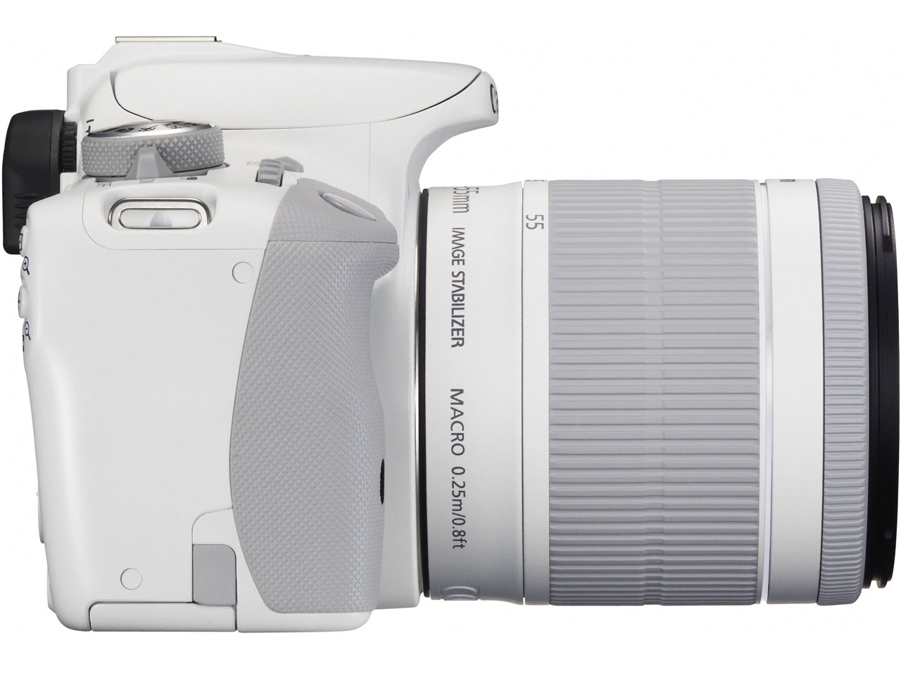 EOS Kiss X7 �_�u�������Y�L�b�g 2