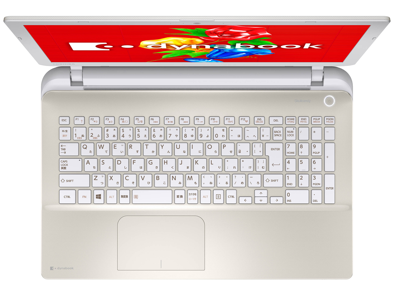 dynabook T55 T55/56MG PT55-56MSXG [���C�g�S�[���h]