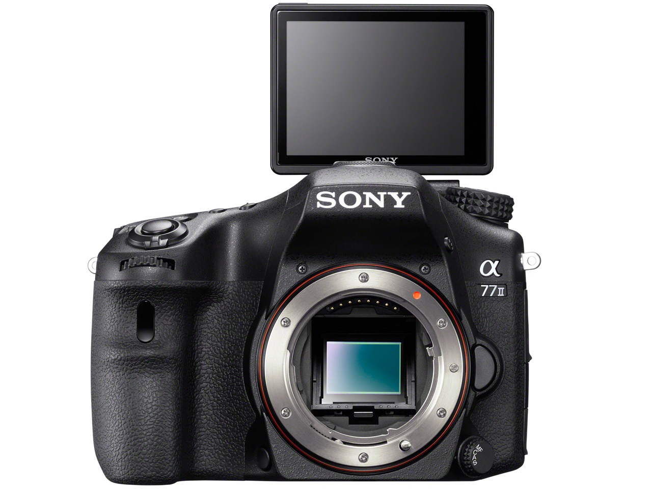 ��77 II ILCA-77M2 �{�f�B