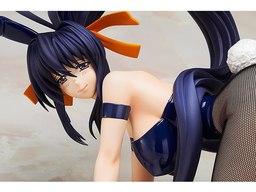 �n�C�X�N�[��D×D NEW �P����T �o�j�[Ver.