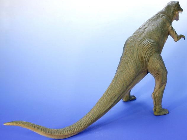 EX���� �����T�����{�[���t���[ �e�B���m�T�E���X