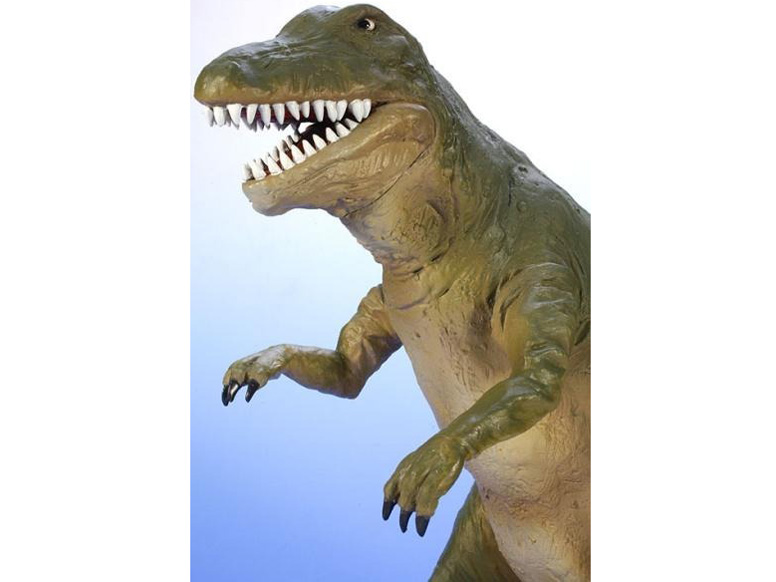 EX���� �����T�����{�[���t���[ �e�B���m�T�E���X