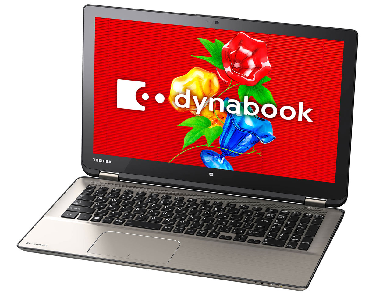 dynabook P75 P75/28M PP75-28MNXG