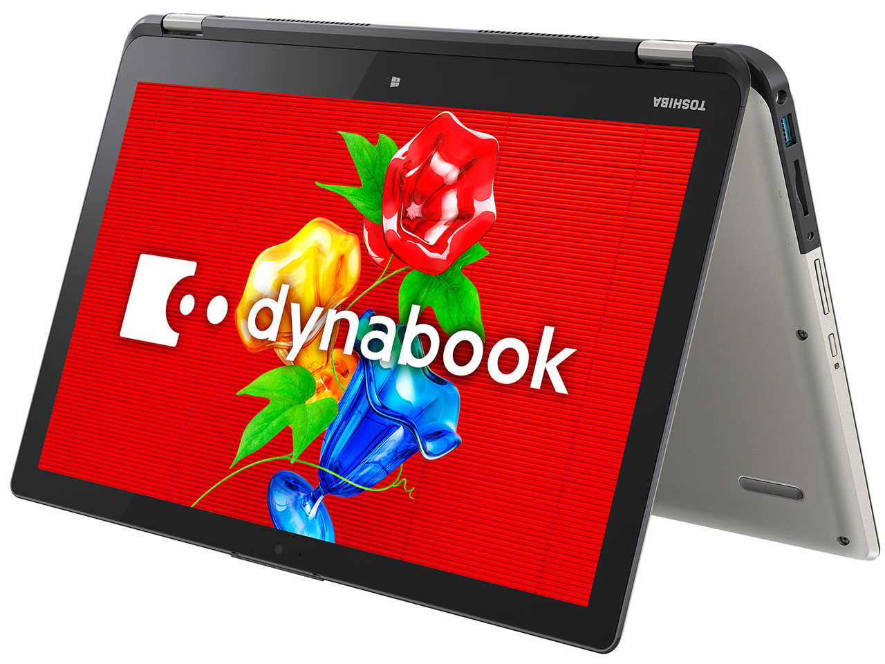 dynabook P75 P75/28M PP75-28MNXG