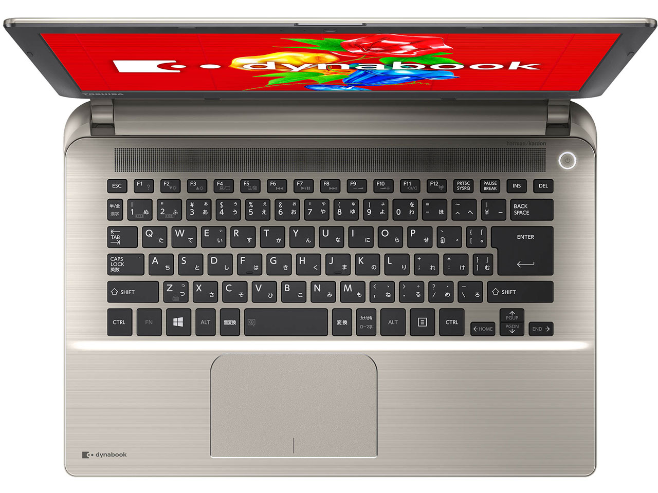 dynabook P54 P54/27M PP54-27MNXG