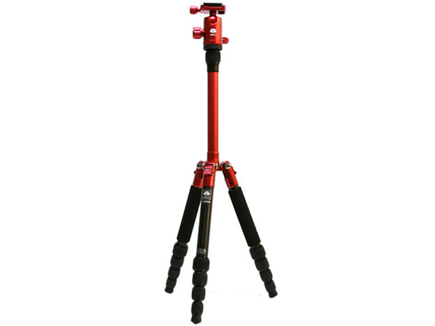 T-005RX+C10X SET [���b�h] �̐��i�摜