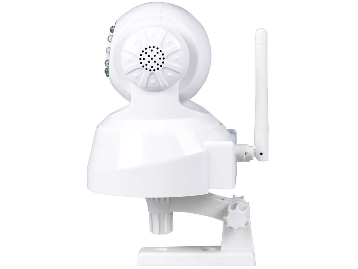 TR3818 [White]