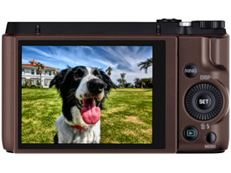 HIGH SPEED EXILIM EX-ZR1300BN [�u���E��]