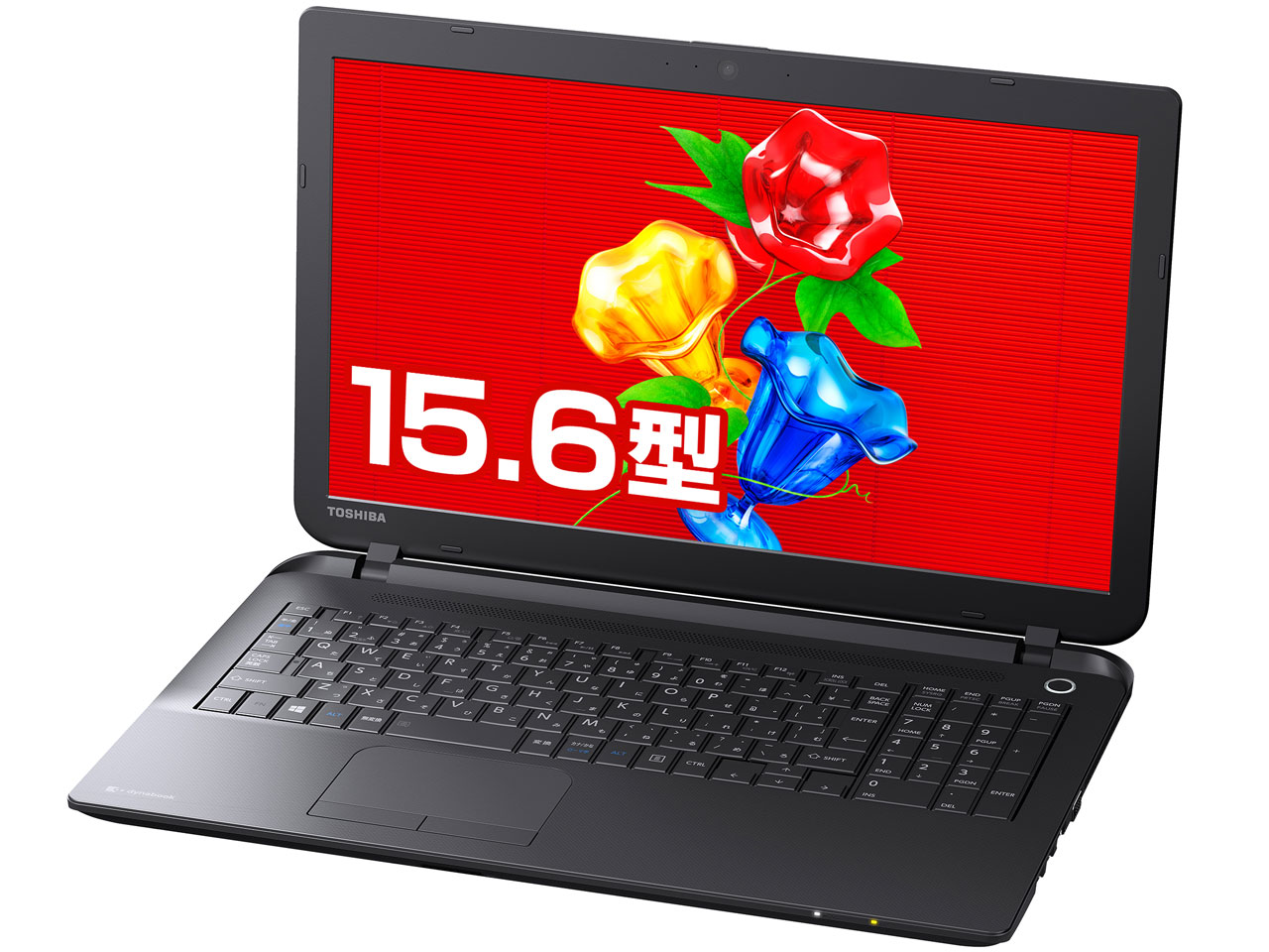 dynabook Satellite B25/21MB PB25MNAD482AD7Y Windows7���ڃ��f�� �̐��i�摜