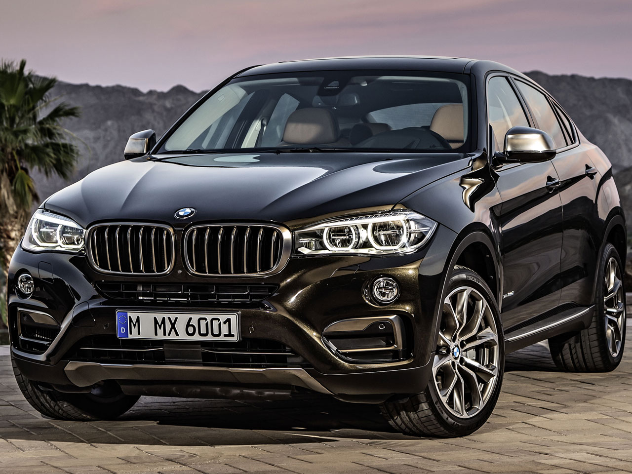 BMW X6 2014年モデル 新車画像