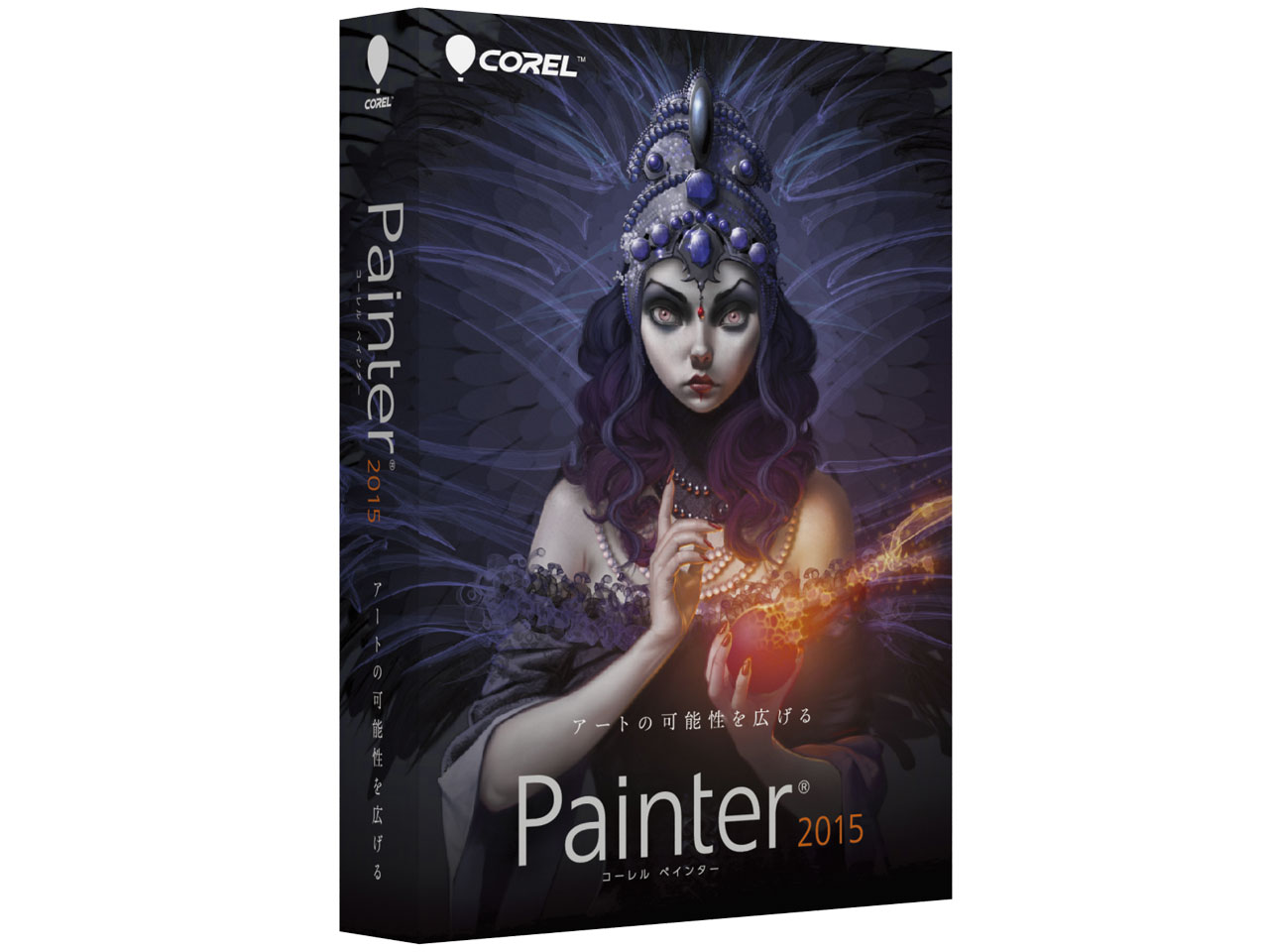 Painter 2015 �ʏ�� �̐��i�摜