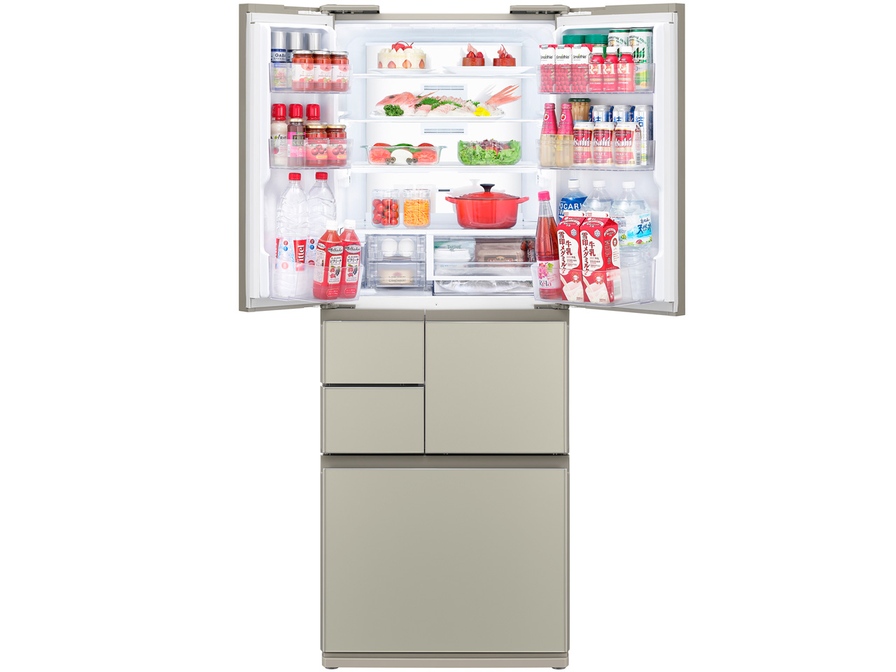 SJ-GT50A-N [�V�����p���S�[���h]