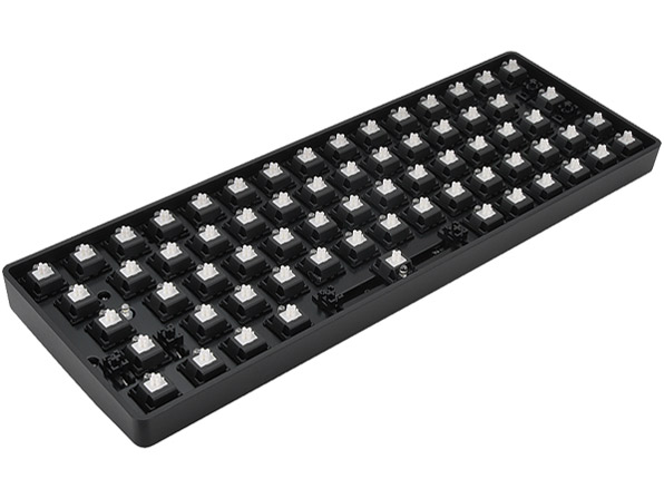 BLACK PAWN CK-67CMB-WTJP1 ���� [����]