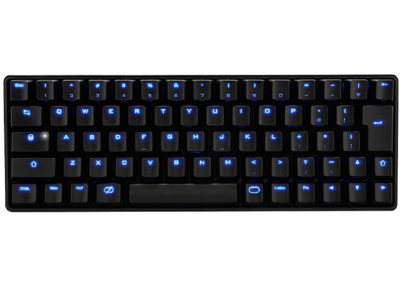 BLACK PAWN CK-67CMB-WTJP1 ���� [����]