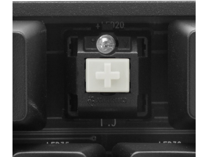 BLACK PAWN CK-67CMB-WTJP1 ���� [����]