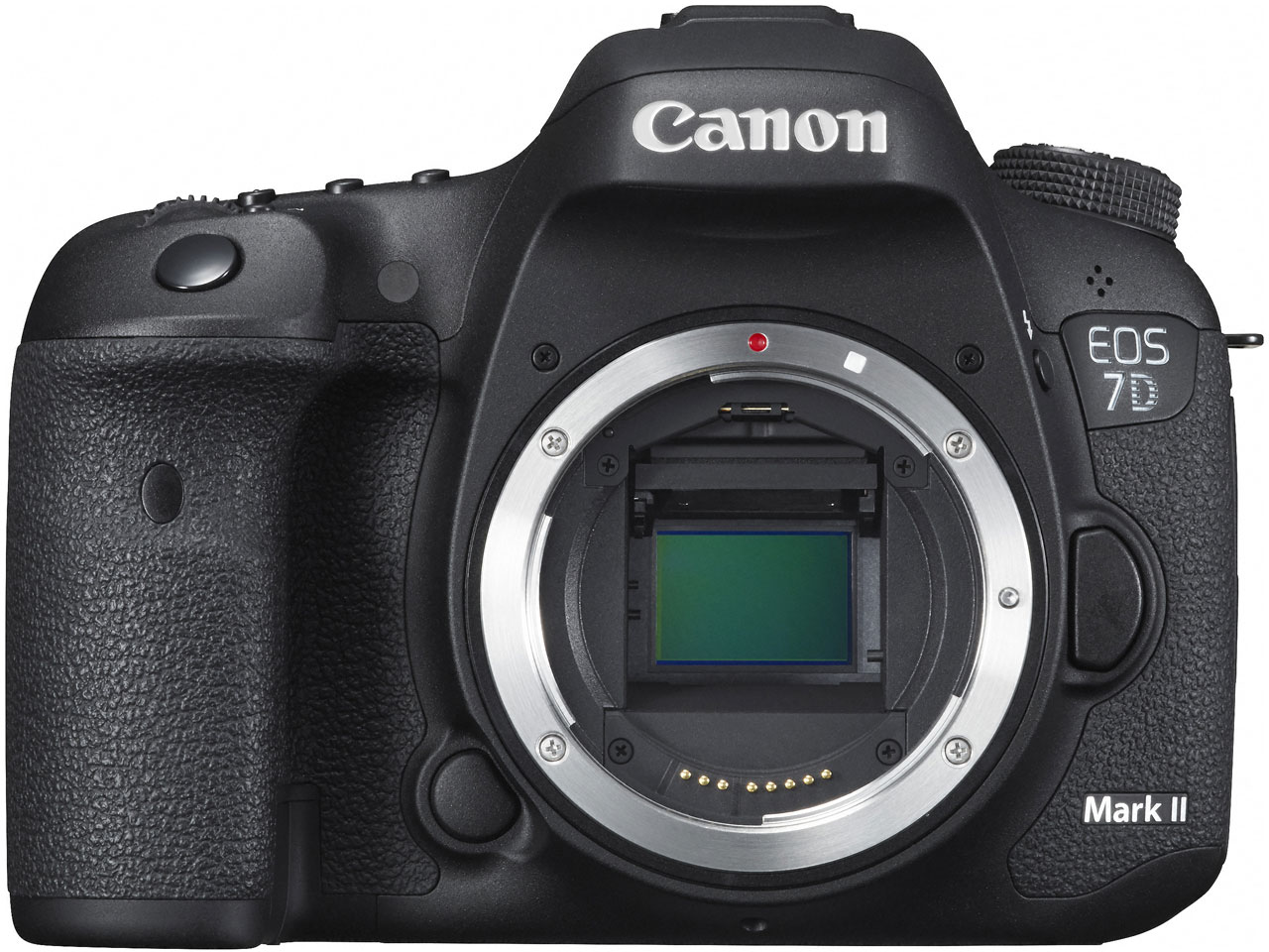 EOS 7D Mark II �{�f�B