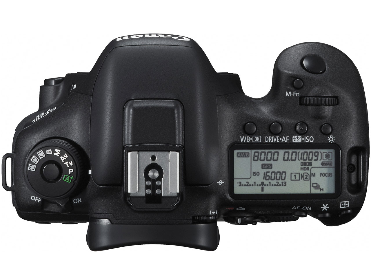 EOS 7D Mark II �{�f�B