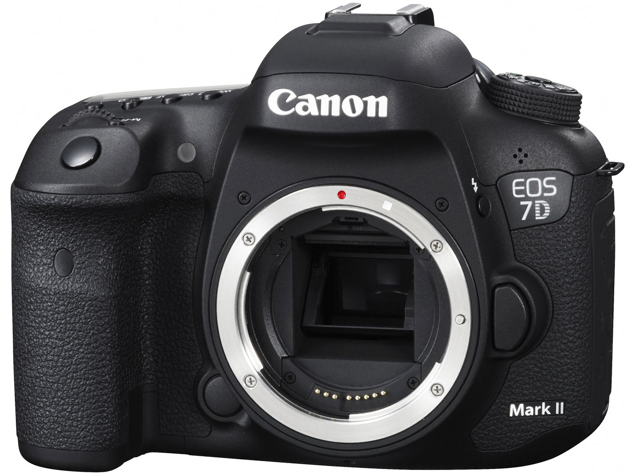 w{ 2x EOS 7D Mark II {fB ̐i摜