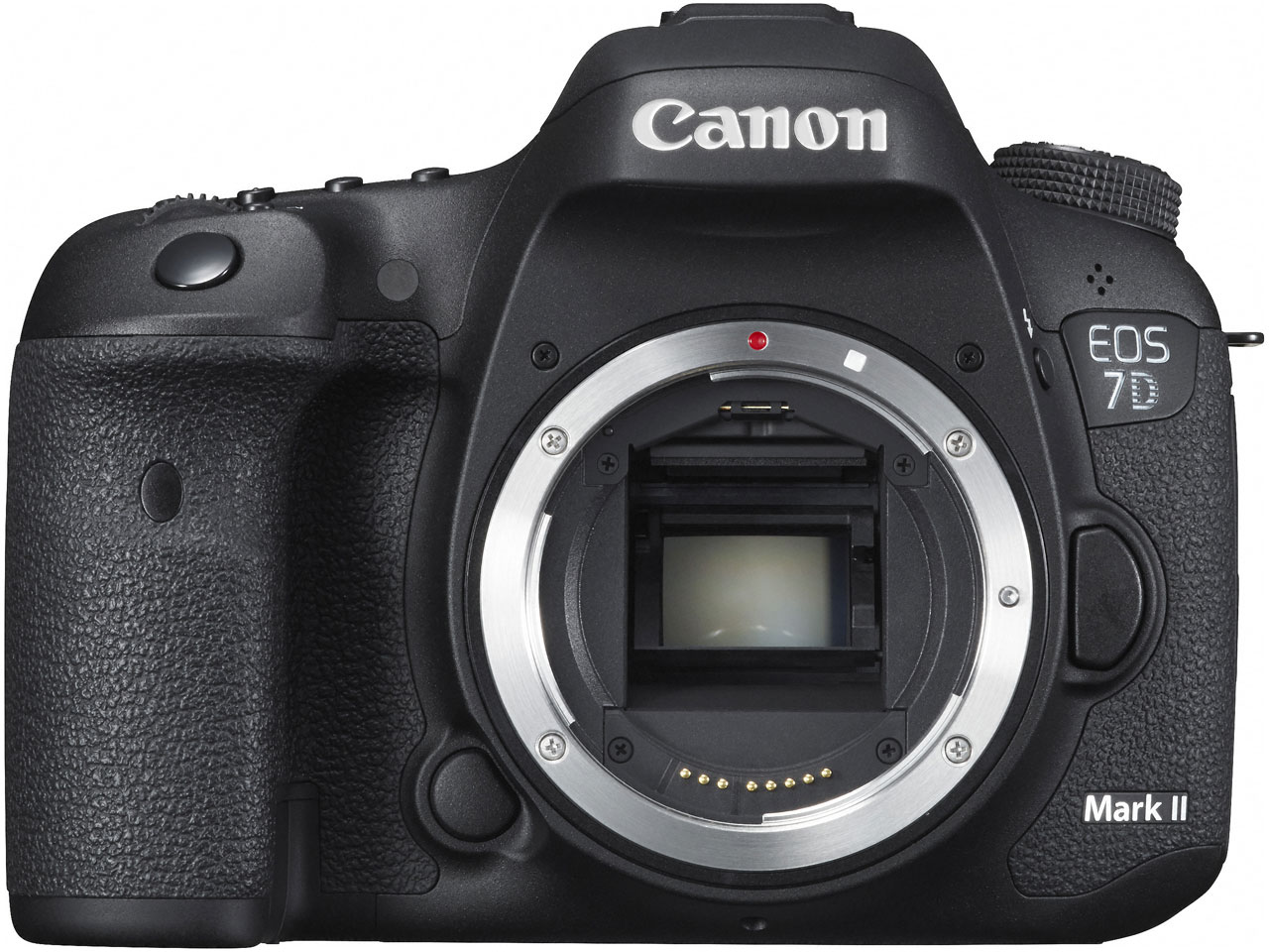 EOS 7D Mark II EF24-70L IS USM �����Y�L�b�g