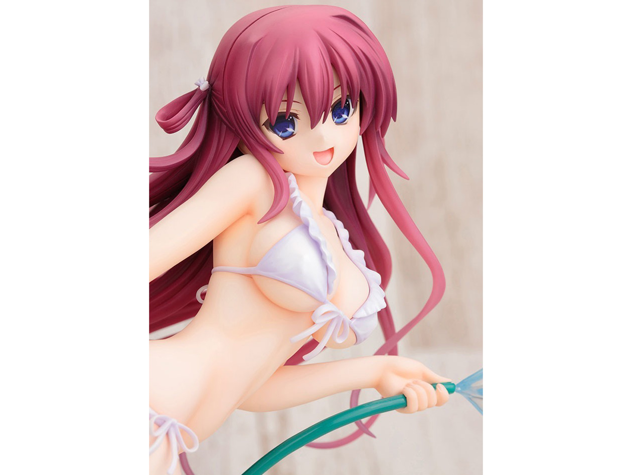 �O���U�C�A�̉ʎ� ���h�V�� [�R�g�u�L��]