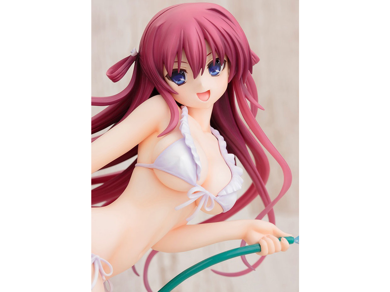 �O���U�C�A�̉ʎ� ���h�V�� [�R�g�u�L��]