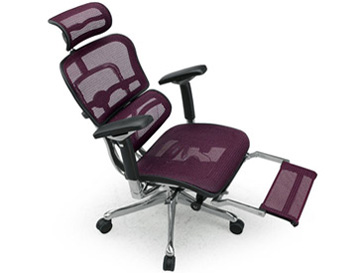 エルゴヒューマン Ergohuman PRO ottoman EHP-LPL 価格比較