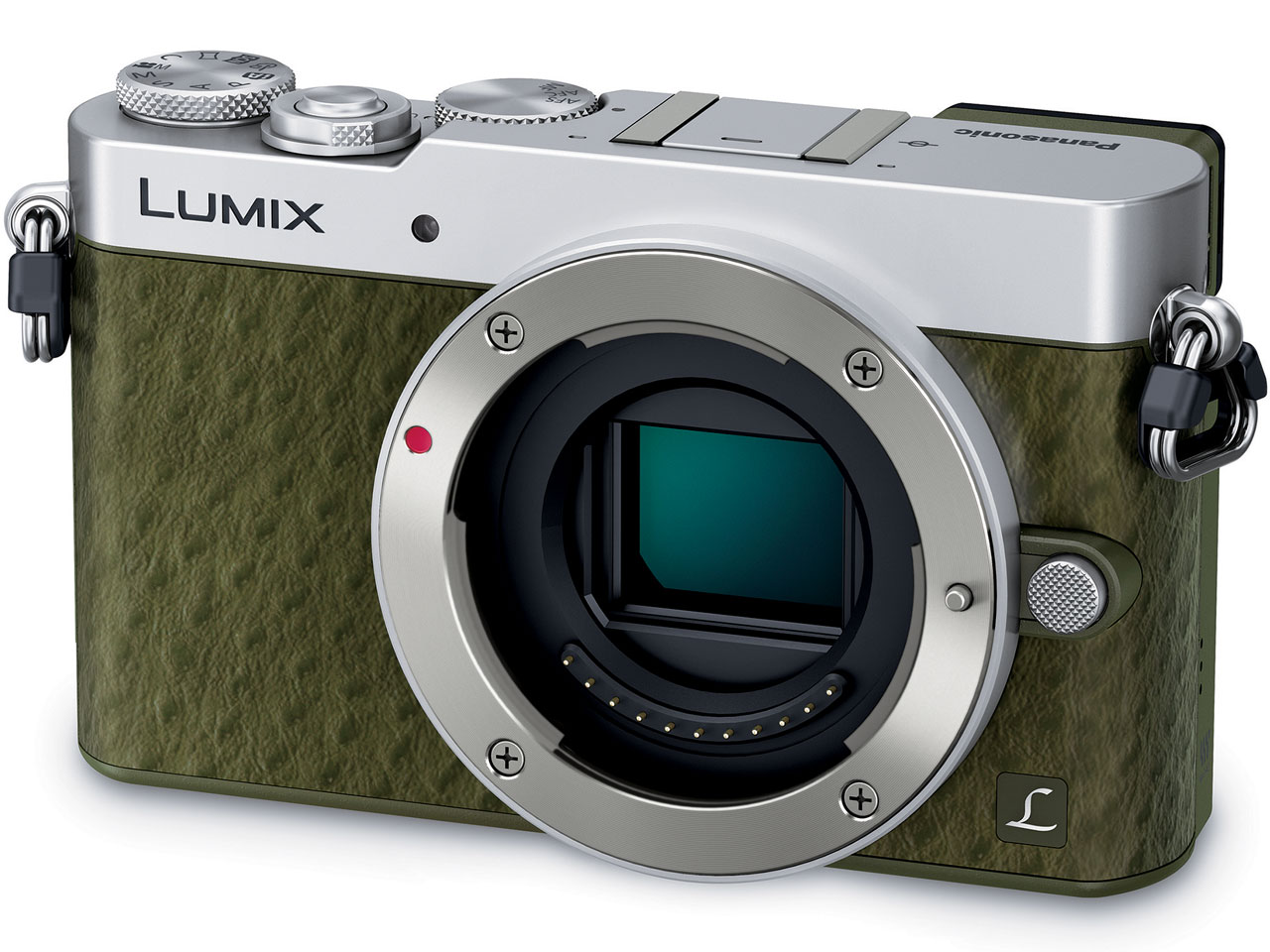 LUMIX DMC-GM5-G �{�f�B [�O���[��]