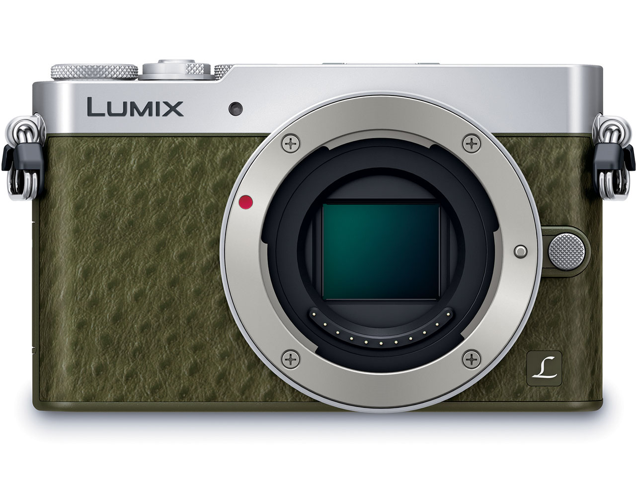 LUMIX DMC-GM5K-G �����Y�L�b�g [�O���[��]
