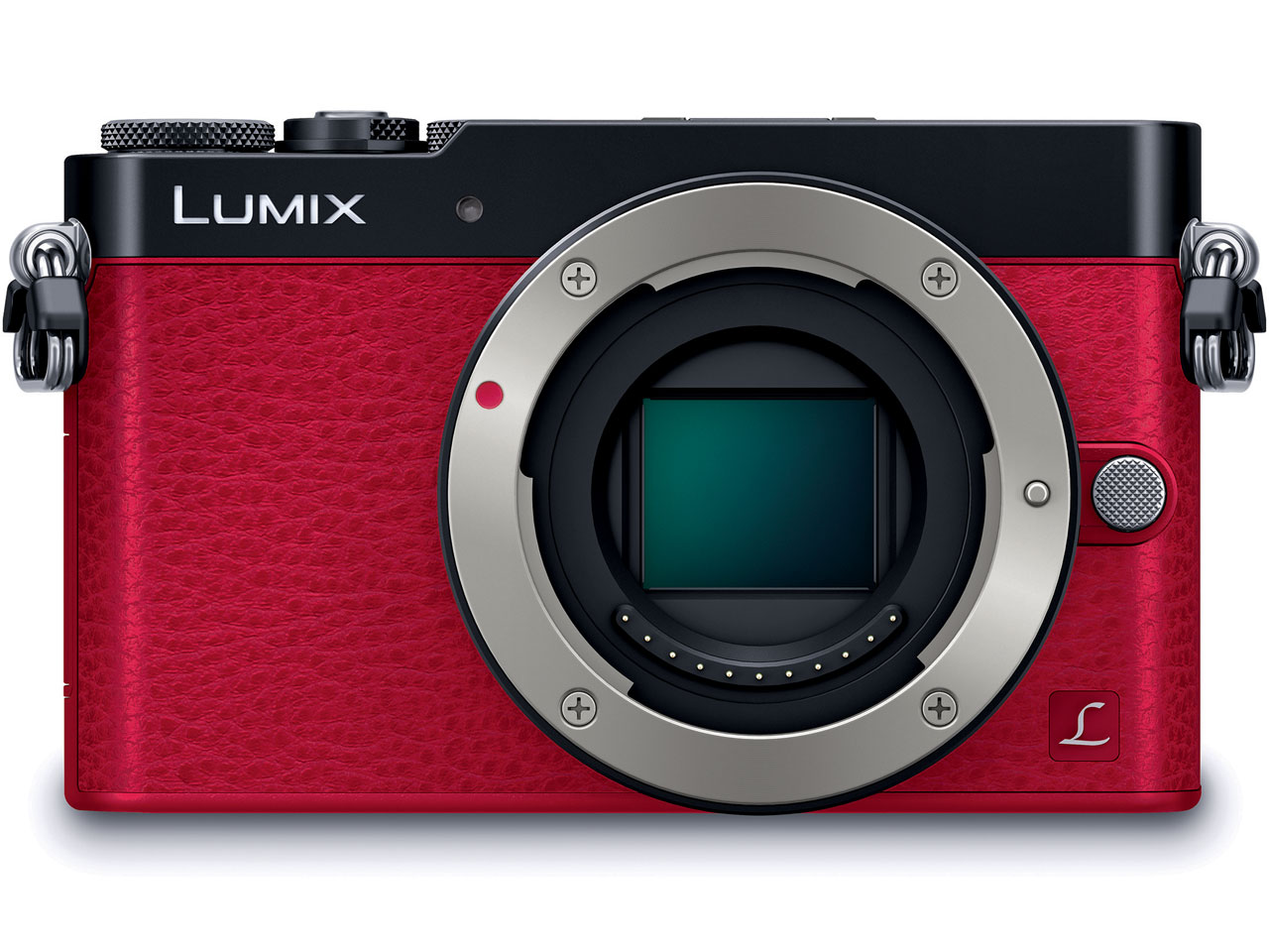 LUMIX DMC-GM5K-R �����Y�L�b�g [���b�h]