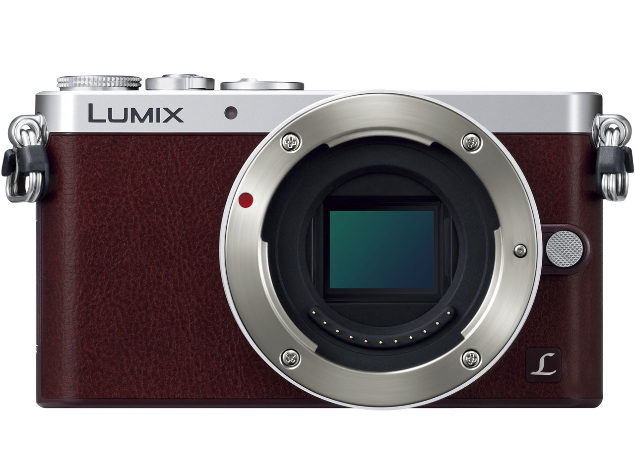 LUMIX DMC-GM1SK-T �����Y�L�b�g [�u���E��]
