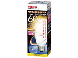 E-CORE LDT8L-G/S/60W [�d���F]