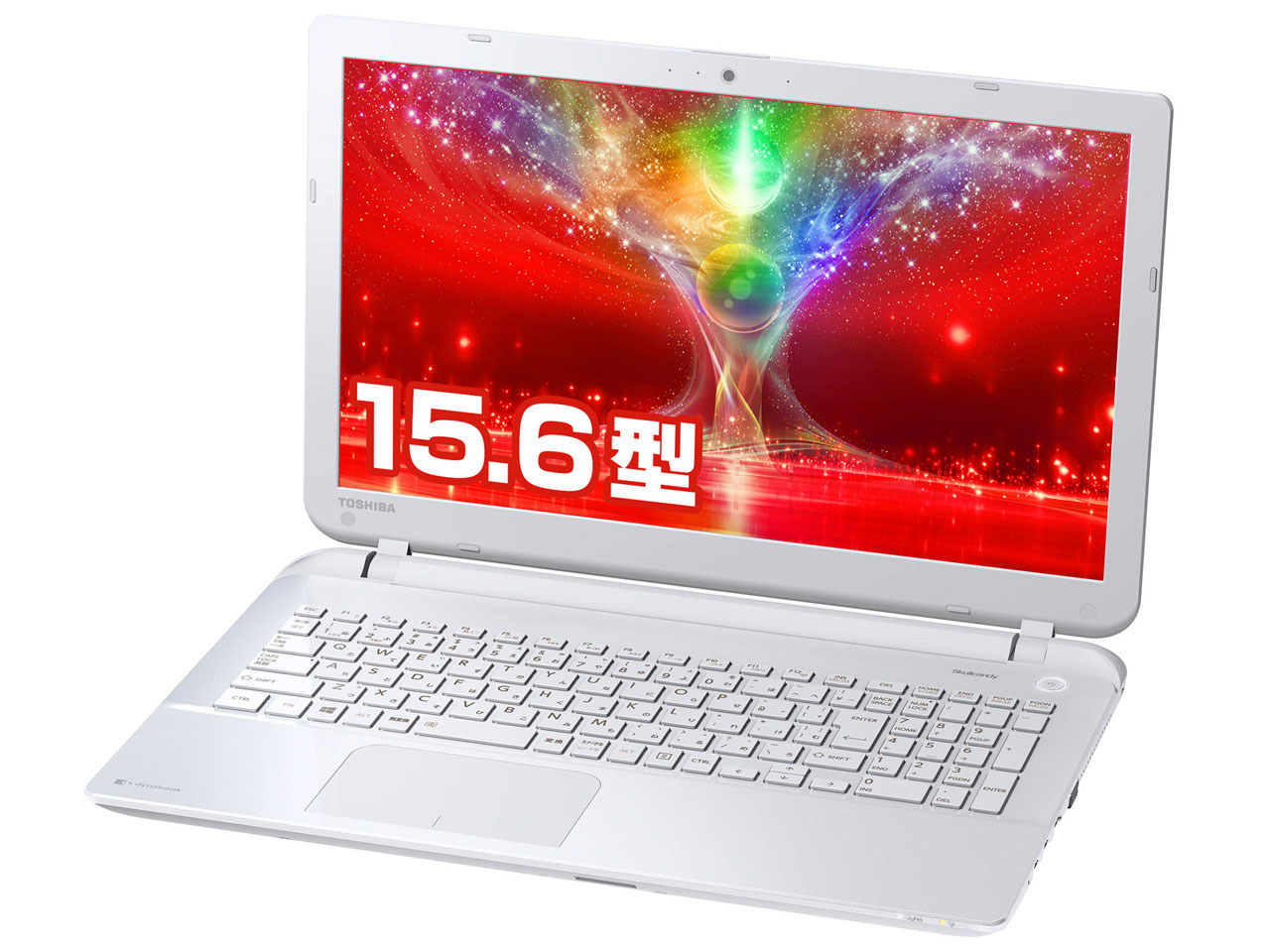 dynabook AB25/NW PAB25NW-SHA �̐��i�摜