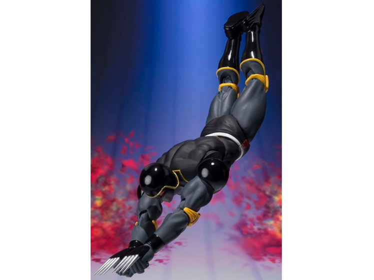 S.H.�t�B�M���A�[�c �E�H�[�Y�}��