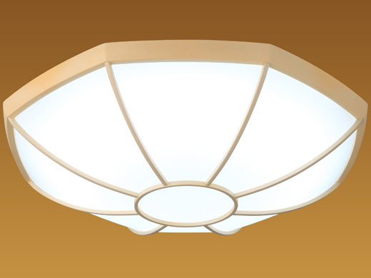 LIFELED'S HLDZB0847 �̐��i�摜