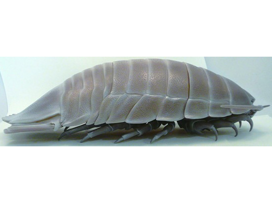 �l�C�`���[�e�N�j�J���[ �_�C�I�E�O�\�N���V