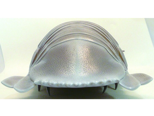 �l�C�`���[�e�N�j�J���[ �_�C�I�E�O�\�N���V